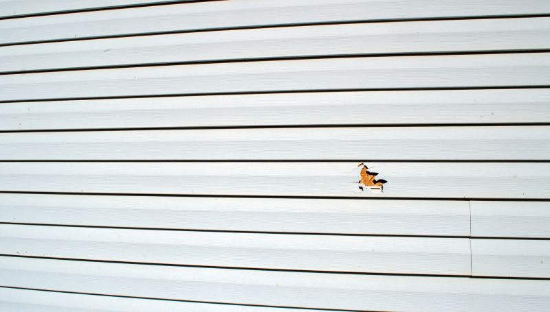 Siding Maintenance and Repair